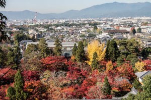 多宝塔から見た京都市内