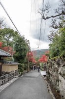 南禅寺への道