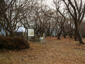 佐和山城本丸跡