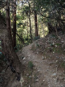 佐和山城址に至る山道