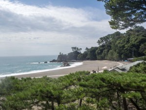 桂浜と下竜頭岬